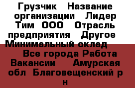 Грузчик › Название организации ­ Лидер Тим, ООО › Отрасль предприятия ­ Другое › Минимальный оклад ­ 6 000 - Все города Работа » Вакансии   . Амурская обл.,Благовещенский р-н